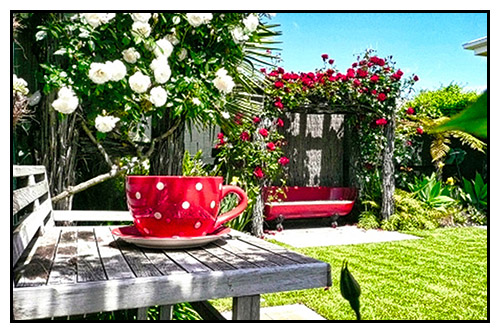 Rear garden seated area to rerlax at Nest Haven B & B Napier, New Zealand